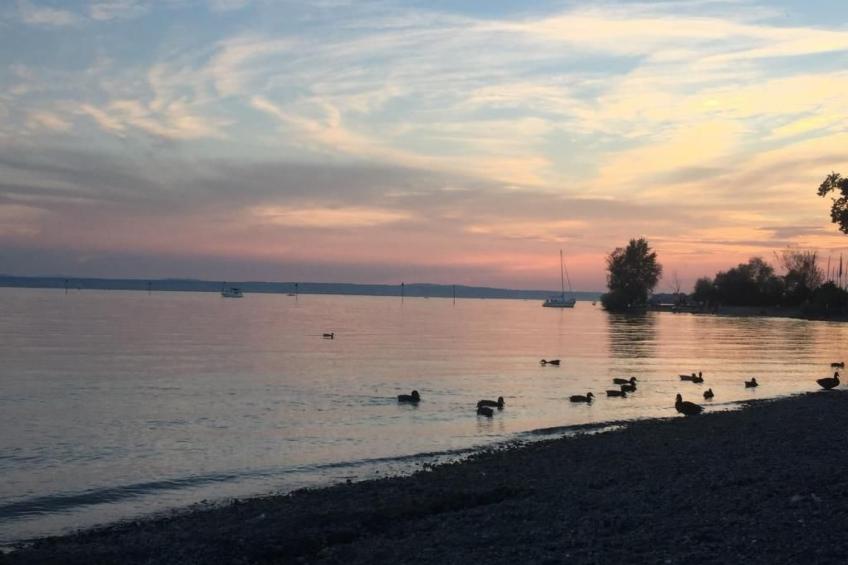 FeWo in ruhiger Südhanglage - foto 9