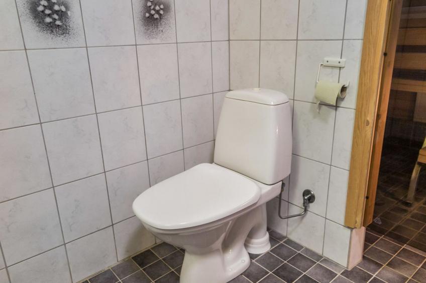 Lapinkulta a - foto 10