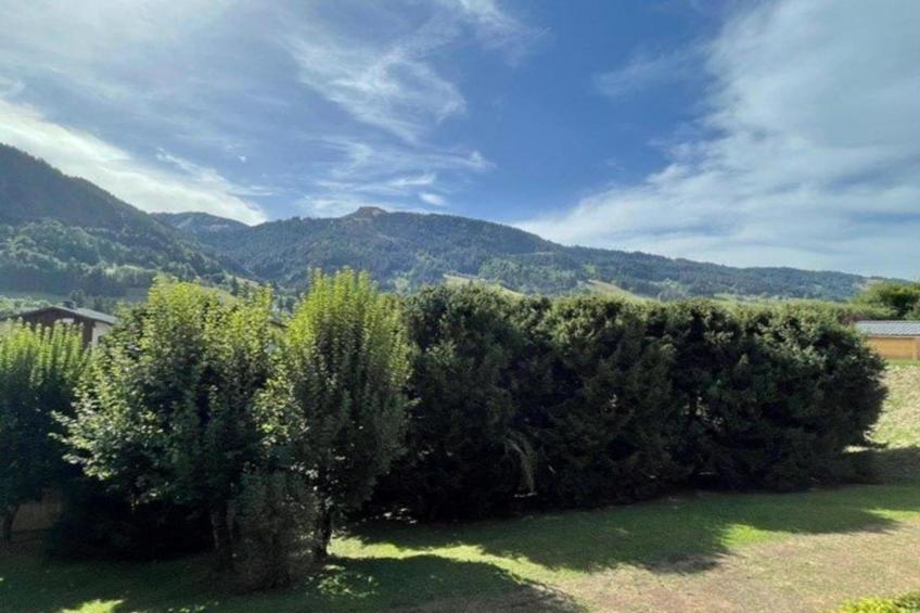 Les Portes de Megève 9 - foto 32