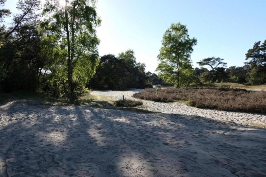 De Tolplas - Twents Buitenverblijf 4 - foto 31