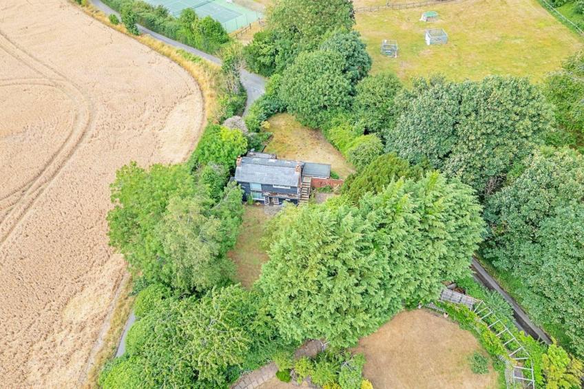 Hollybush Studio - foto 29