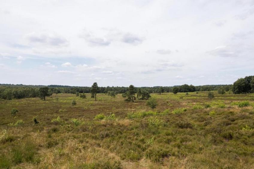 Bungalowpark Hoenderloo - foto 33