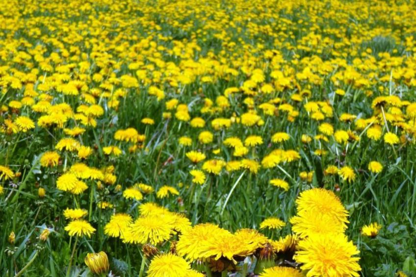 Haus mit  freier Fahrradnutzung und kleinem Boot - foto 23
