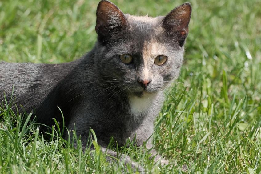 Fewo. Liebelt - foto 28