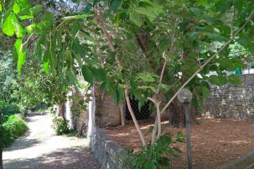Strandnahe Wohnung in Pisciotta mit Grill - foto 35