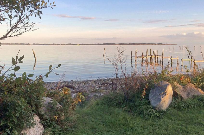 "Sissela" - 5m from the sea in Funen - foto 31