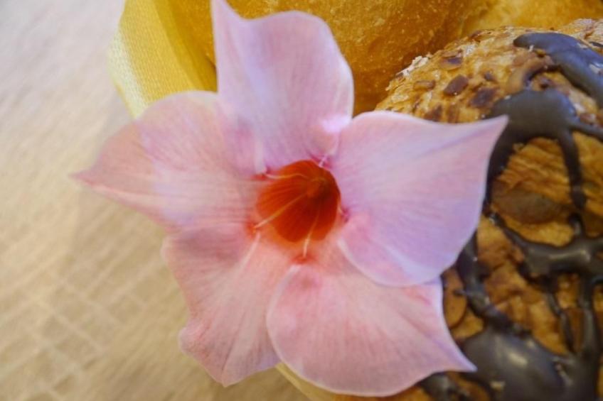 FeWo Siebert - foto 8