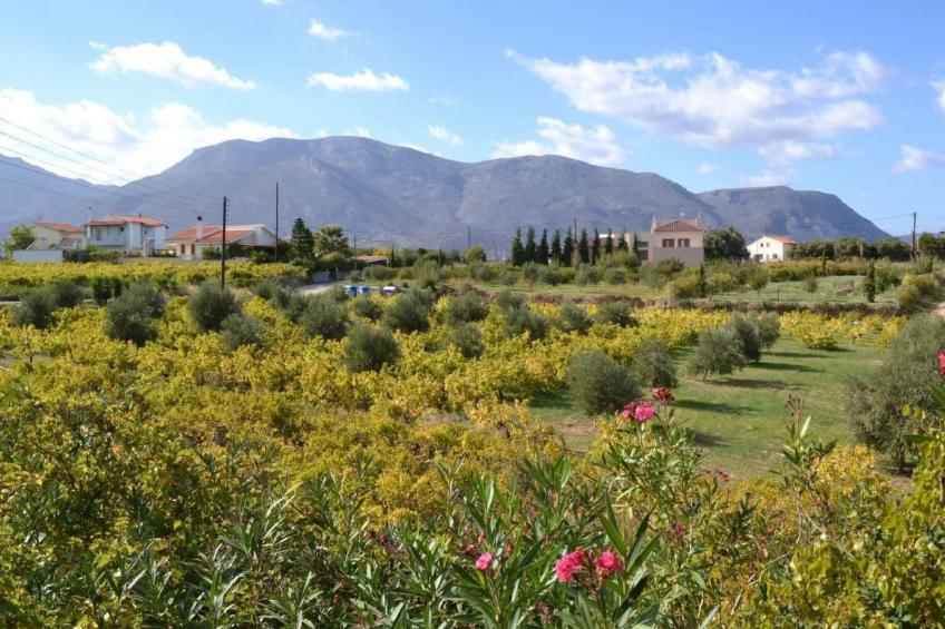 Christina II - foto 15