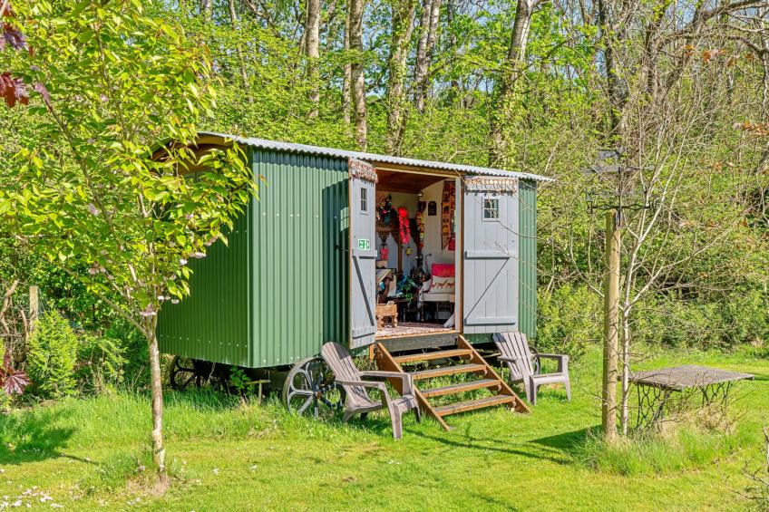 Shepherd's Hut at Hilltop Farm - foto 35