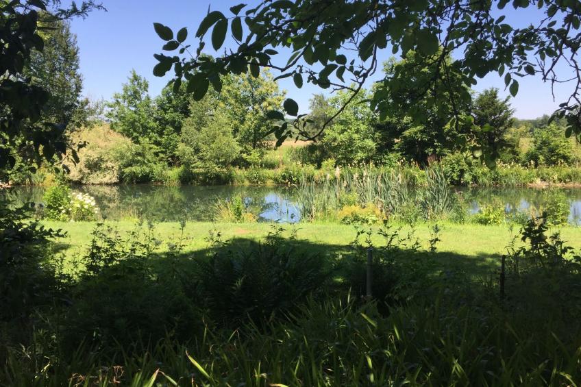 Ferienbungalow Anne - foto 16