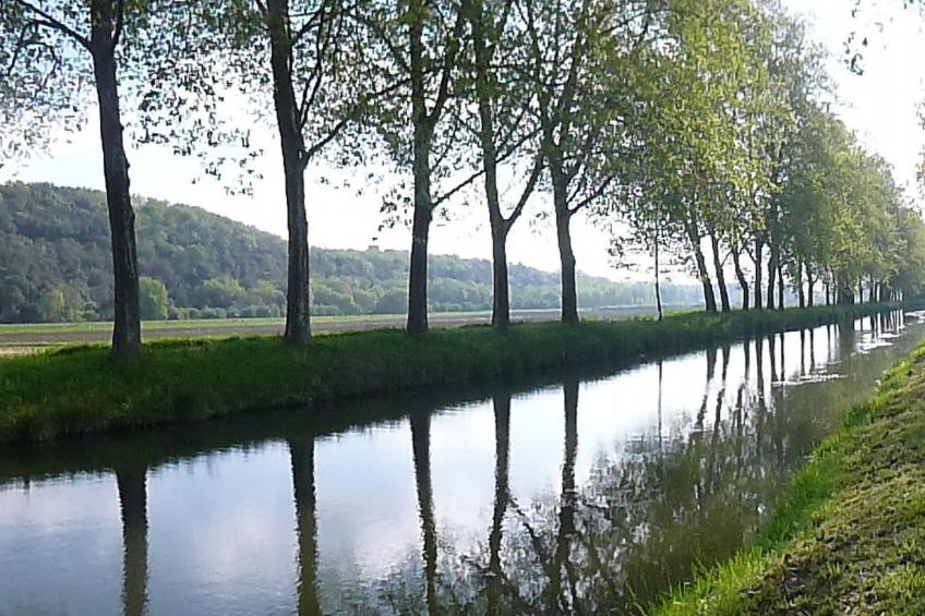 Fachwerkhaus "gitealienor perigord" - foto 40