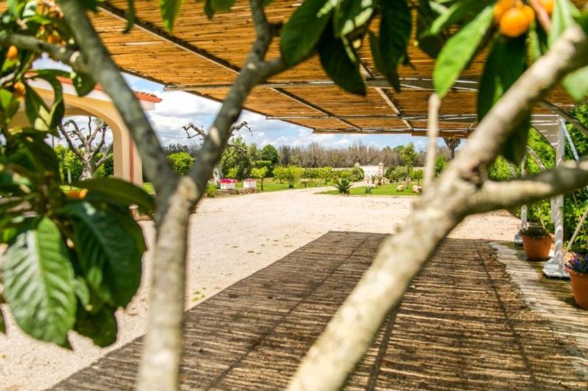 VILLA MIT POOL - PODERE CORDA DI LANA - foto 15