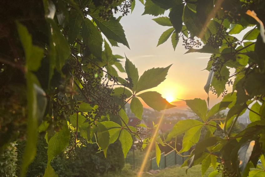 Kleines Ferienhaus mit Garten und Grill in Garitz - foto 11