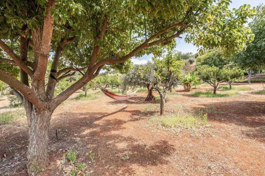 Quinta da Fragura - foto 30