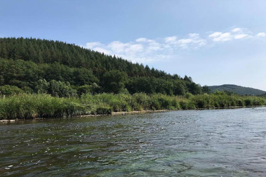 Au Coeur d'Alle - Double Room with Large Double Bed - foto 31