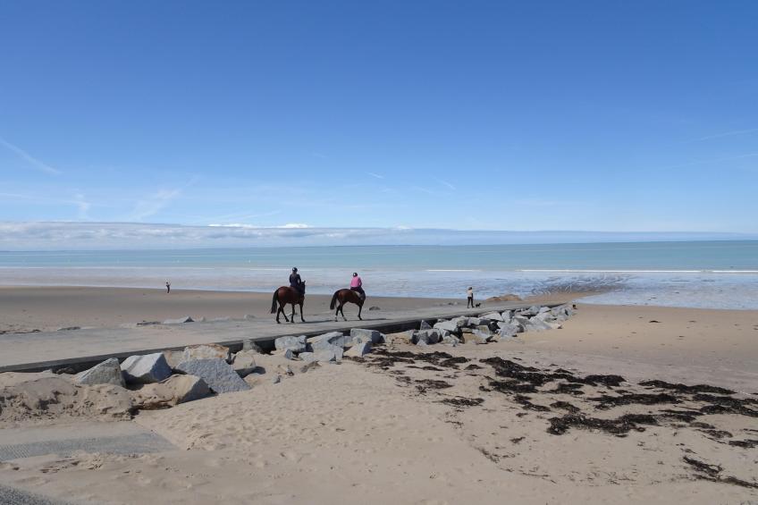 Maison avec jardin Granville - foto 27