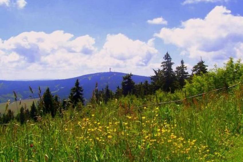 Fewo Bergkristall - foto 12