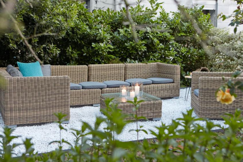 Olive Tree - foto 29