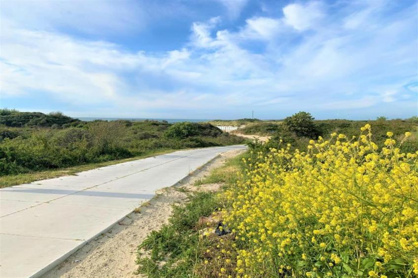 Roompot Beach Resort - foto 29