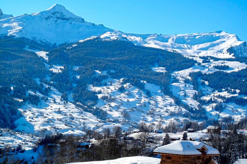 Alpen-Paradies - foto 25