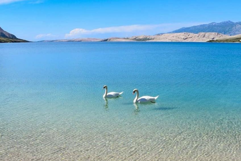 für 2 Personen  + 1 Kind ca. 40 m² in Zubovici, Adriaküste Kroatien (Kroat - foto 9