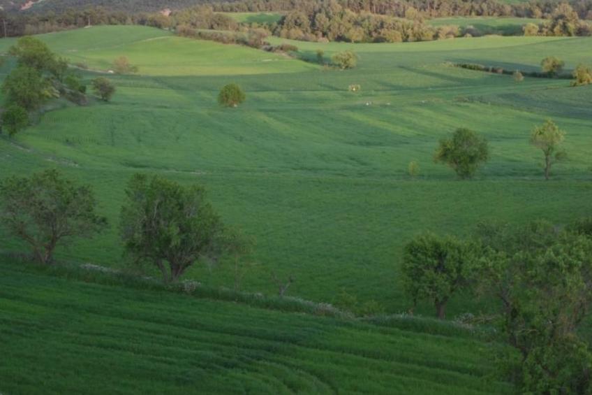 Fachwerkhaus - foto 29