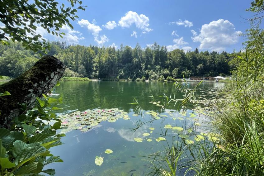 Residenz Aichwaldsee - foto 19