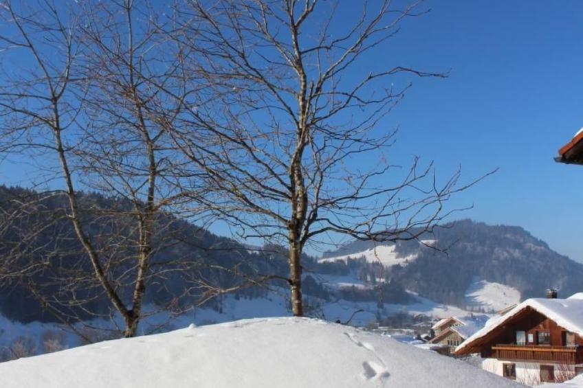 Alpkönigin - foto 26