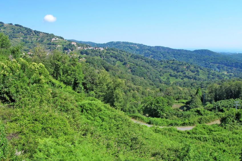 Villa Angelini - foto 34