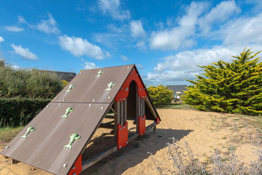 Sud Océan - foto 20