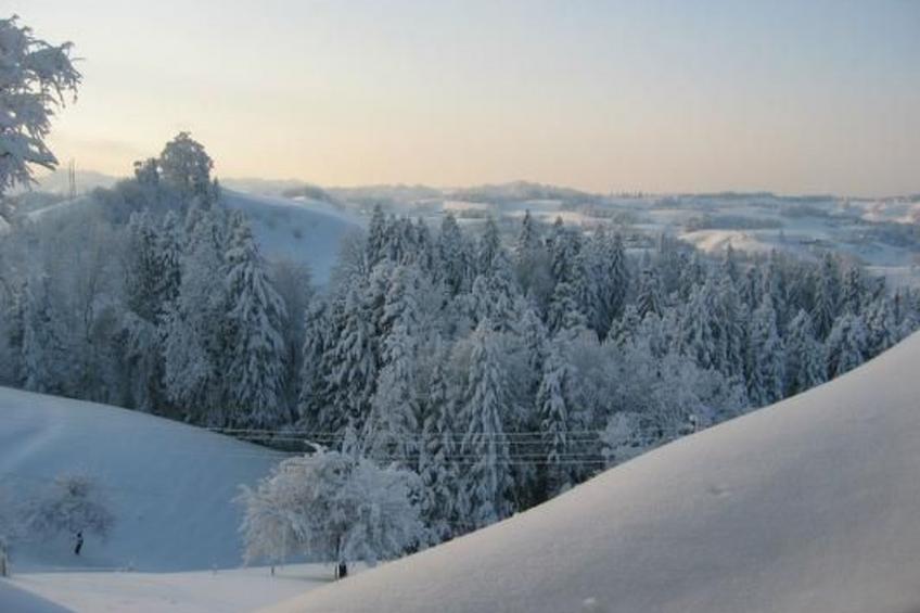Ober-Tiefenbühl - foto 19