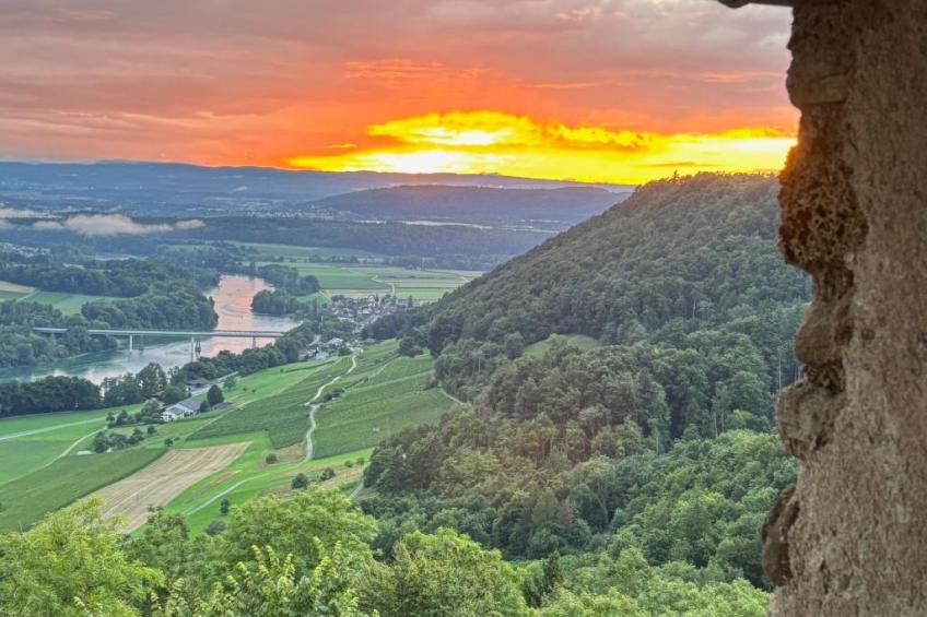 Tieroase Grünegg - foto 29