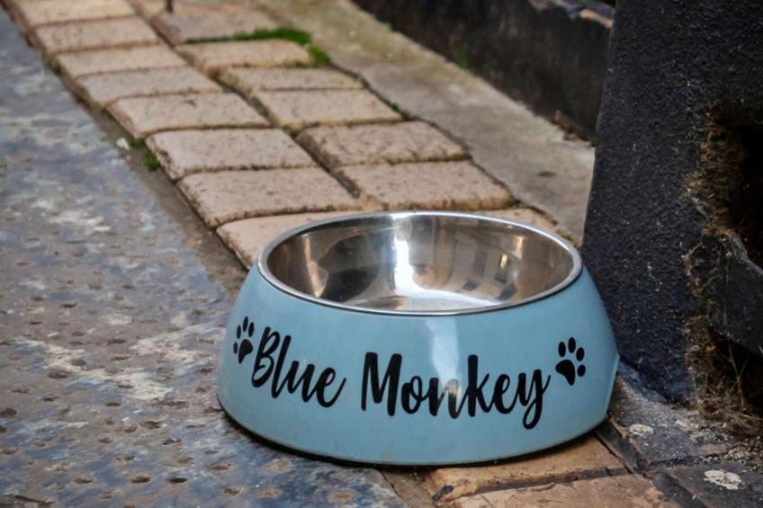 Blue Monkey - foto 19