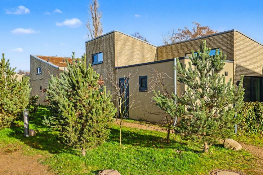 Haus Kiebitz (197) - foto 5