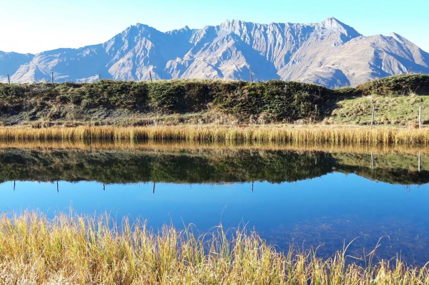 Hof Gross Gada - foto 7