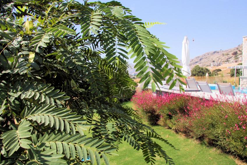 Villa CostaMare - Luxuriöse, neu gebaute Steinvilla - foto 11