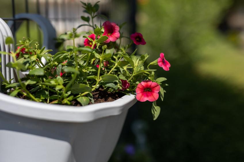 Peaceful and Cozy Holiday Home near Imotski - Two Bedroom Holiday Home - foto 24