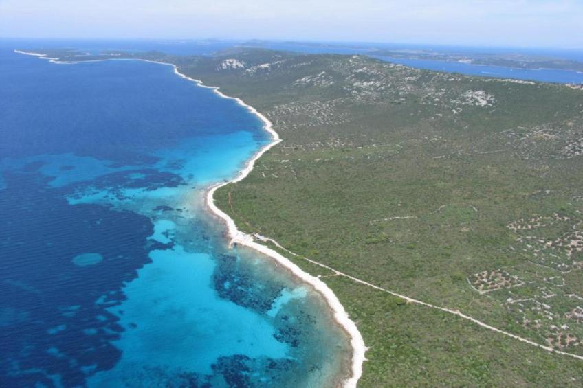 Gorgonia S2 - foto 20