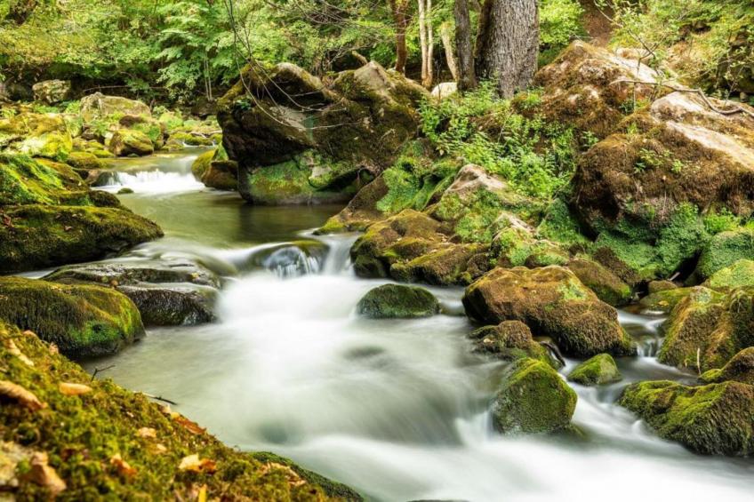 Resort Echternacherbrück 2 - foto 13