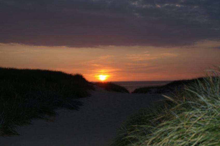 "Heming" - 100m from the sea in Western Jutland - foto 6