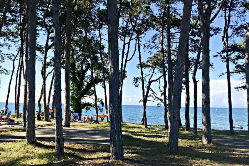 mit Blick auf das Wasser - foto 28