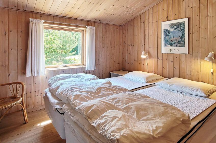 FUGLEKONGEN - foto 4