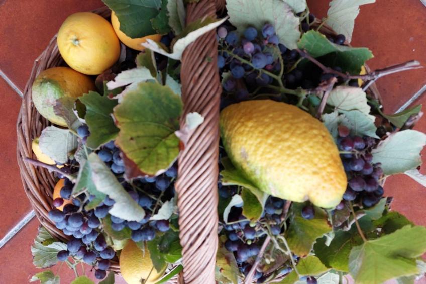 Entspannung, Meer, Natur, Kultur - foto 27