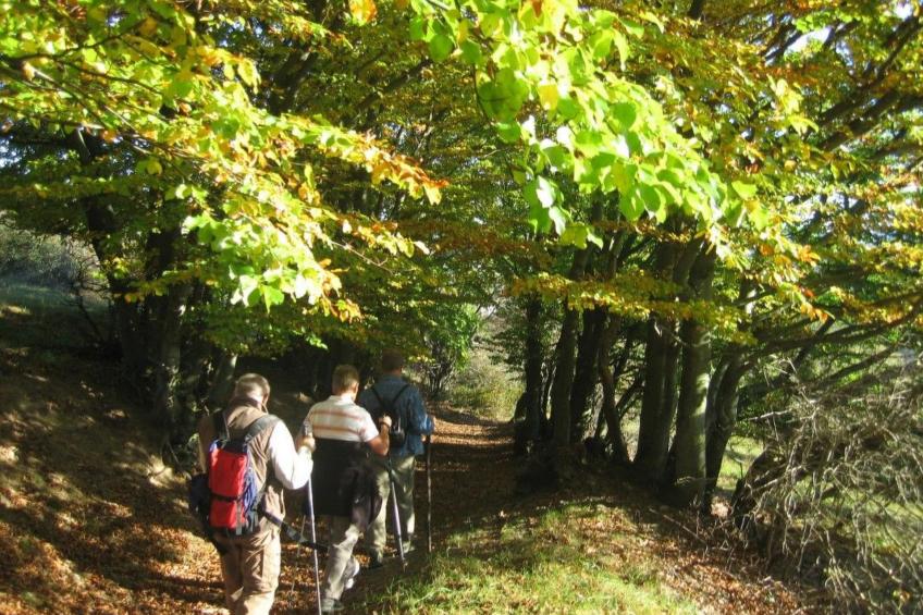 FeWo Panorama - foto 39