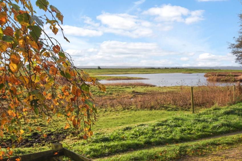 "Simo" - 250m from the sea in The Liim Fiord - foto 5