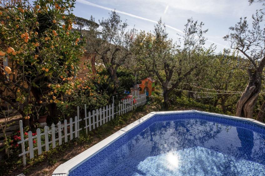 Sonnenstrahl - foto 42