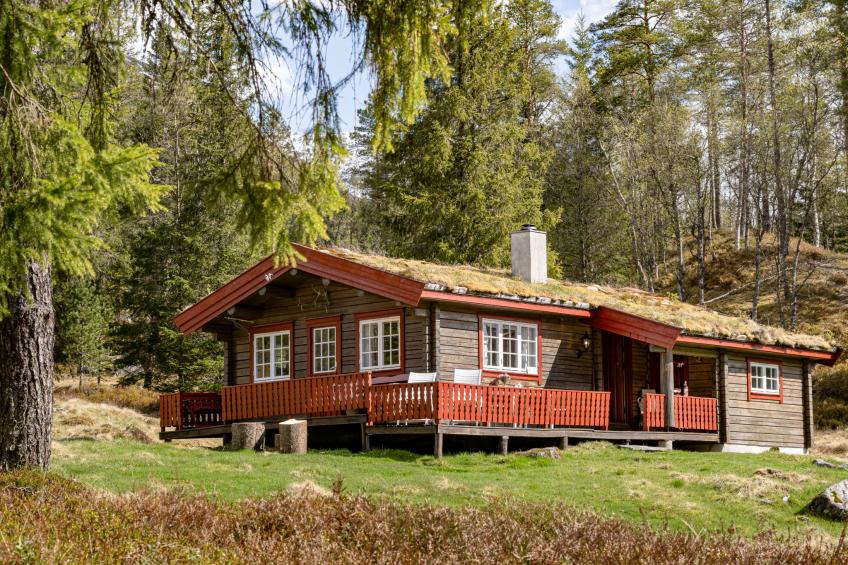 Fjellbris (FJS106) - foto 6