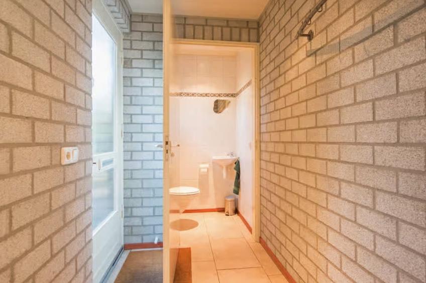 De Rode Ibis - foto 13