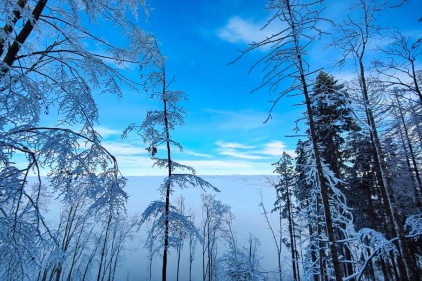 Ferienhaus Anna - foto 32