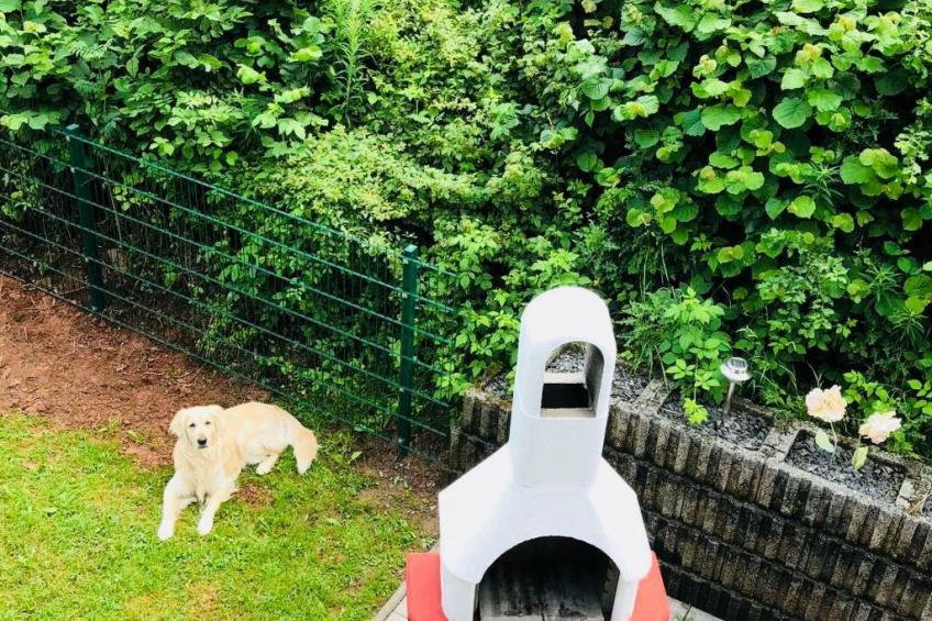 Charly in Kirchheim Seepark - foto 18